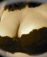 Paloma Postleitzahl 1